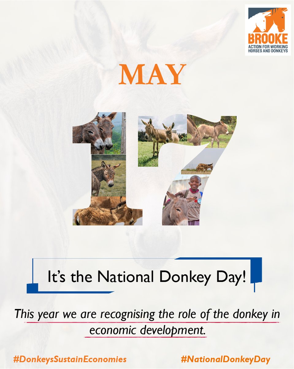 It's National Donkey Day! This year we are recognizing the role of the donkey in economic development. 

#DonkeysSustainEconomies
