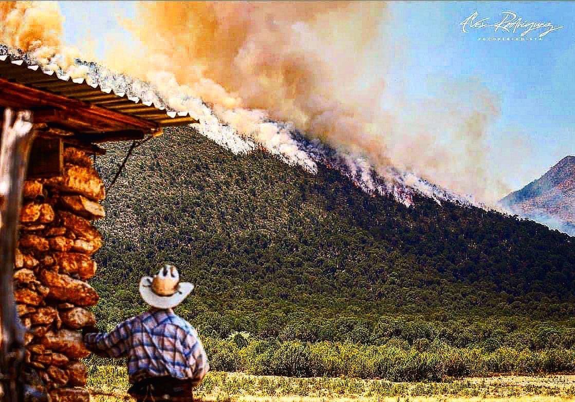 MelchorCepedaD's tweet photo. Imagínate estar ahí, observando cómo el fuego avanza y devora todo a su paso, tener la incertidumbre de no saber cuándo cesará y bajo el riesgo que se encuentra el lugar que con años de esfuerzo y trabajo construiste. 
Difícil situación la que prevalece en la sierra de #Arteaga https://t.co/7KBMxyXV6l
