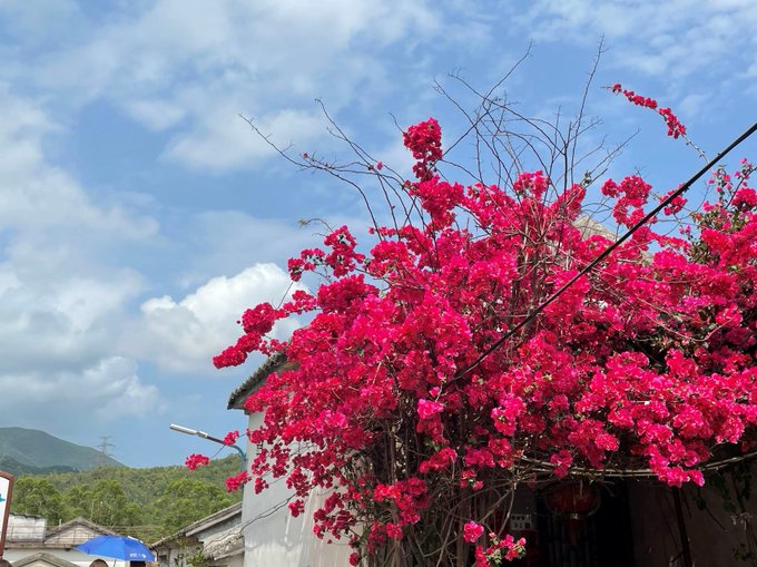 wanna tralve!! https://t.co/wOzVmvy6ko<a href="/tag/sextoy"class="tags"><span>#sextoy</span></a><a href="/tag/adultingandstuff"class="tags"><span>#adultingandstuff</span></a><a href="/tag/tracysdog"class="tags"><span>#tracysdog</span></a>