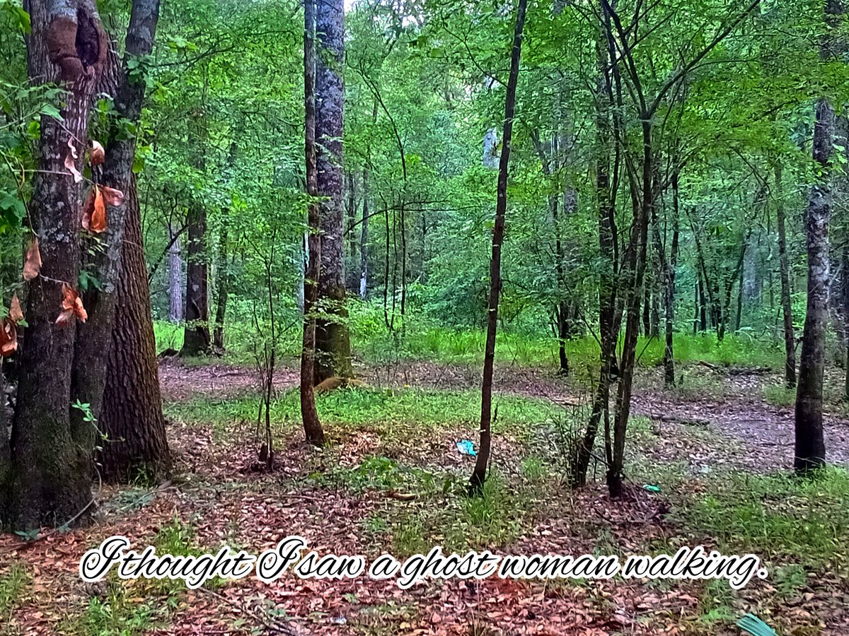 Triniabell1's tweet photo. So funny story earlier. I'm hiking along, alone, in the dark dank forest and saw a ghost lady. Blasted tree almost made me hurt myself. #scary #hiking #ghostfigure #forest #ourtravelsacrossamerica #photography https://t.co/XMRcx5dbz8