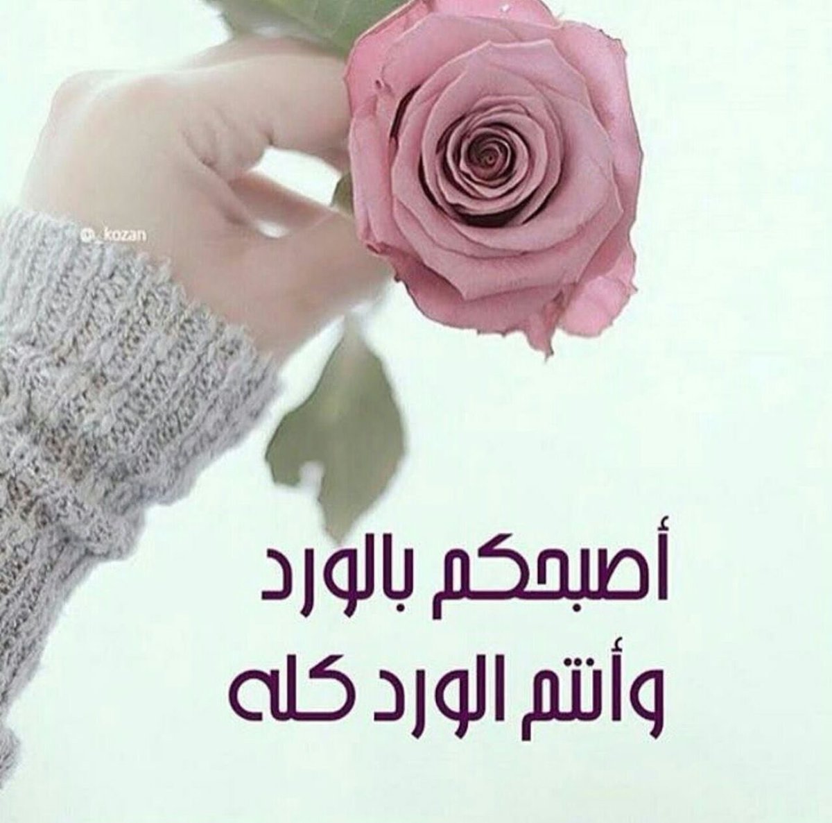 86r_anada's tweet photo. https://t.co/rGpYIFmcgh