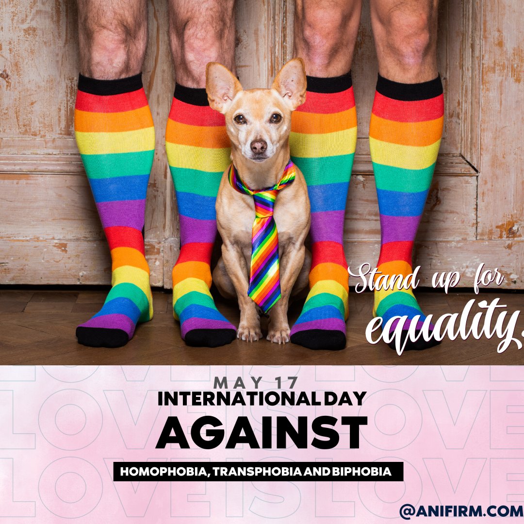 theanifirm's tweet photo. In a fair and just society, no one is left behind

We at @anifirm support #lgbtq rights and you should too

Spread awareness on International day against Homophobia Transphobia and Biphobia

#lgbtqcommunity #lgbtqpride  #society #lgbtq #lgbt #pride #loveislove #lgbtcommunity https://t.co/9shQi05iHQ