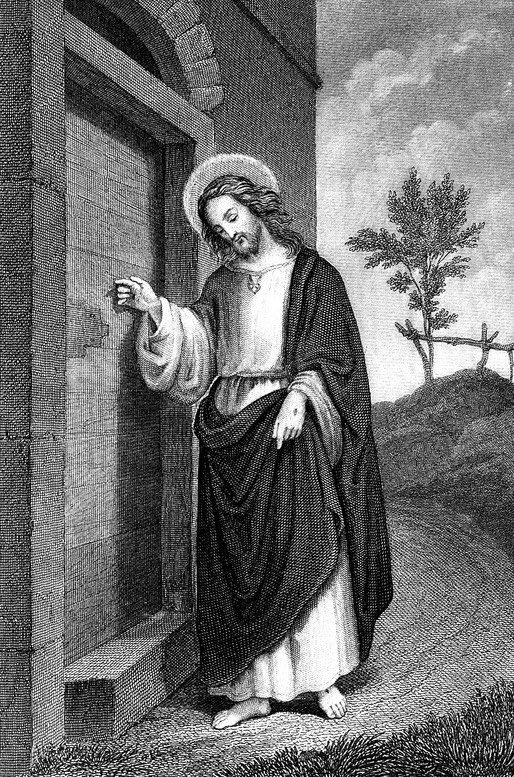 "it's my turn to use the microscope"