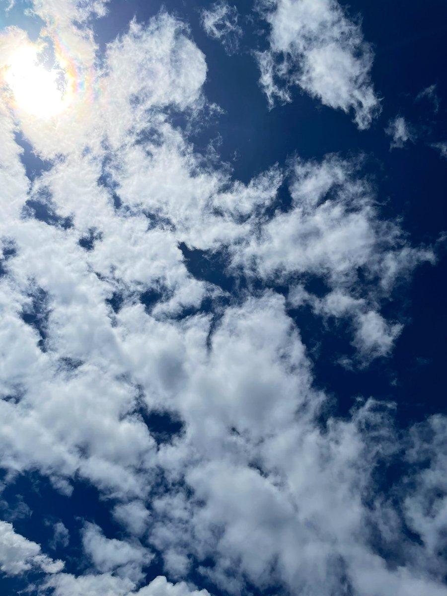 MsAlbertisClass's tweet image. Day 13 #walkingcurriculum challenge: the “Look WAY Up” walk - use your imagination to find pictures and stories in the clouds! What WONDERful things do you see? 
“Ms. A, what do you mean you don’t see the dancing elephant?! Turn on your imagination please!” 🐘 🩰