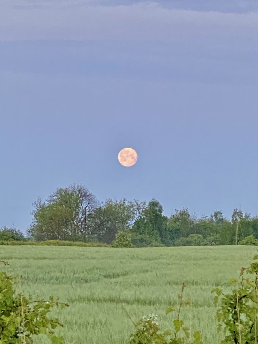 IanGee19's tweet photo. The Moon setting in the south west sky as seen from #Redmarshall Another occasion when it would’ve been nice to have a camera to hand instead of just the phone but that’s the way it goes @ThePhotoHour @StormHour #moon #mobilephotography #oniPhone https://t.co/GZHpp3uoF0