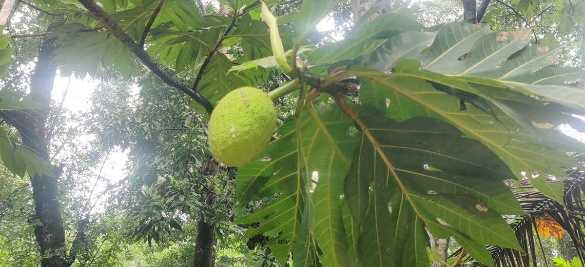 Madhav Patil tweet media