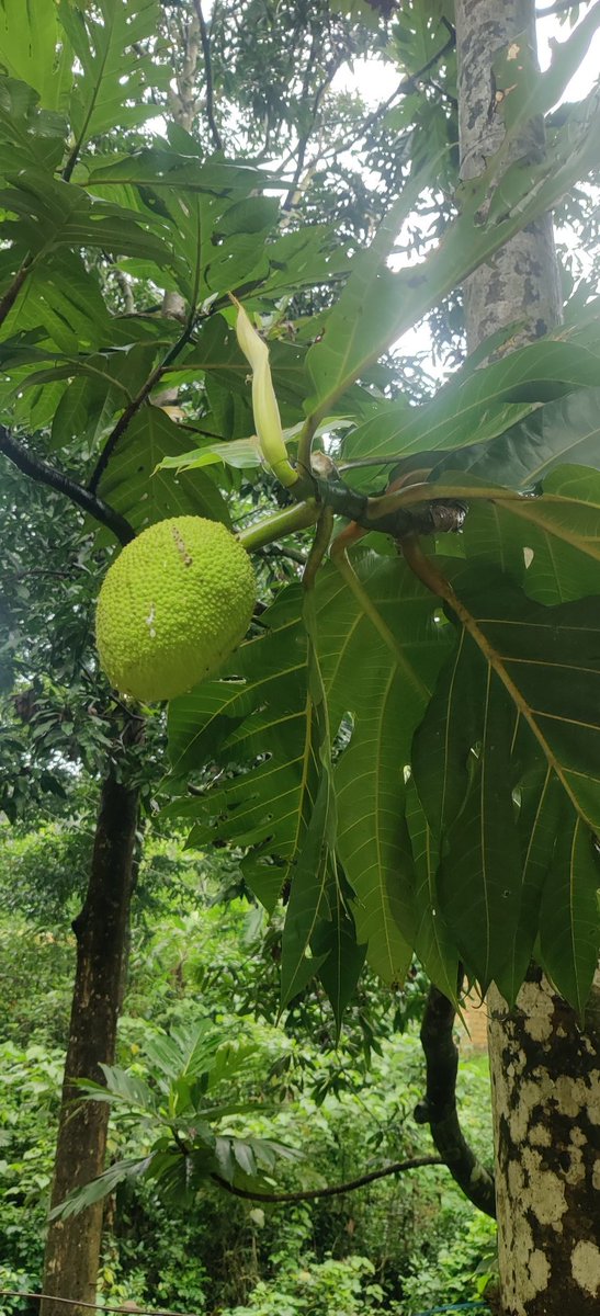 Madhav Patil tweet media