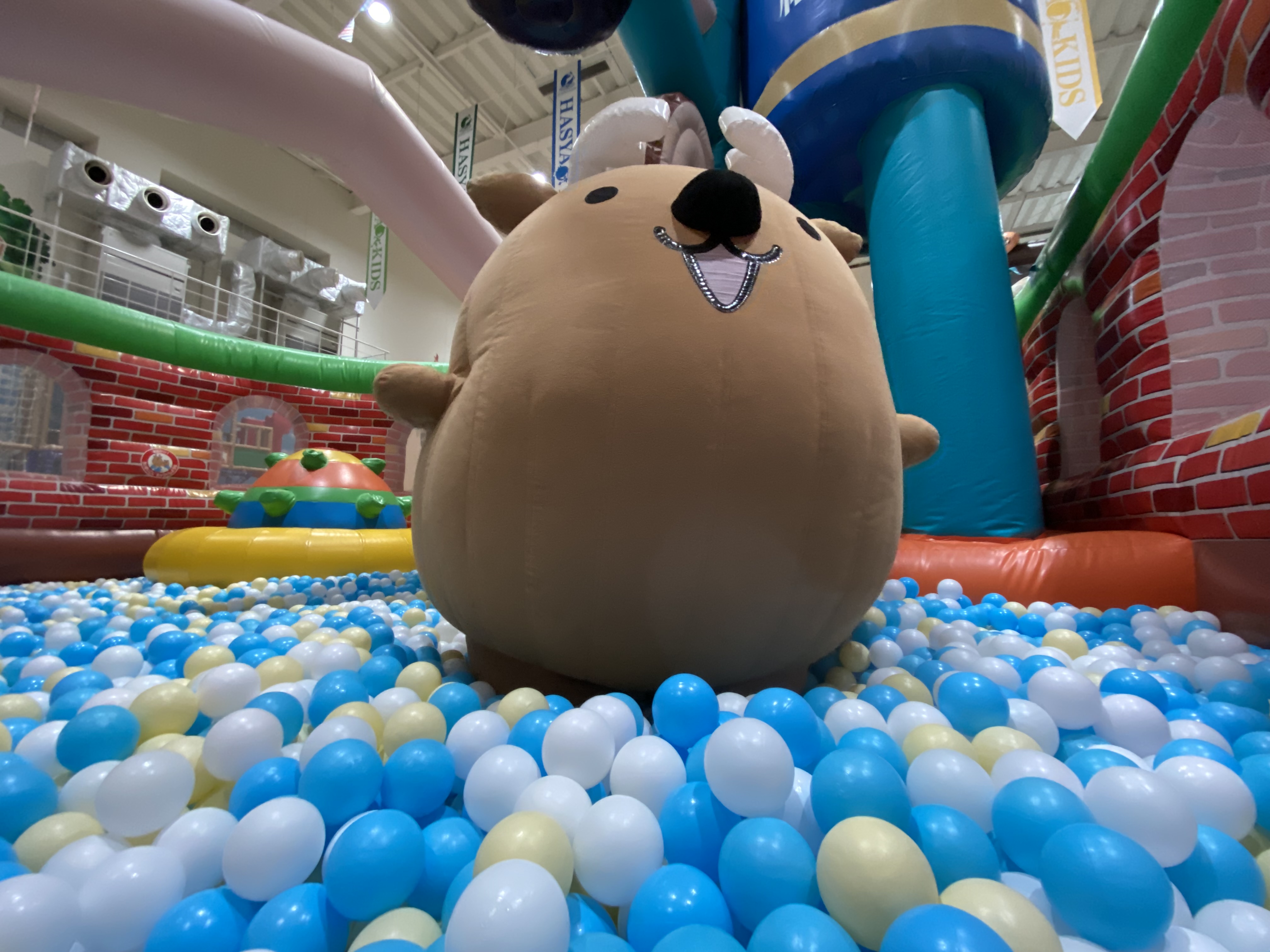 奈良わんぱくランド はしゃきっズ 公式 親子で遊べる 屋内型巨大エア遊具テーマパーク Hasyakids Twitter