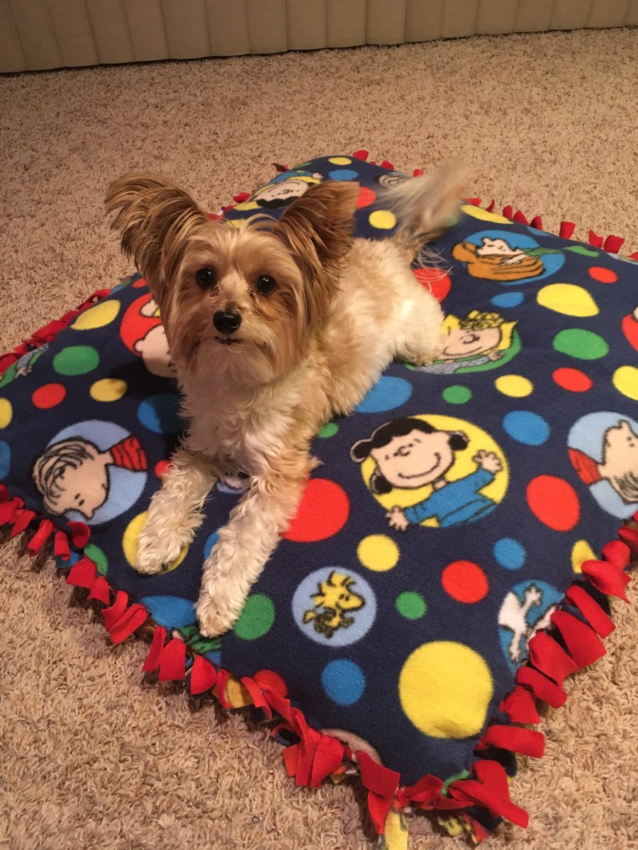 DaniSzykulski's tweet photo. @SaveMacGyverHQ I have a whole pile of unfinished crafts, but I recently finished this dog bed! #MacMakes #SaveMacGyver https://t.co/q0qjhtus3R