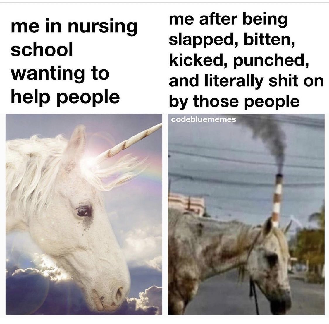 Nursing Humor (@humor_nursing) on Twitter photo 