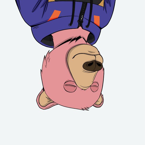 notnotokaybears's tweet photo. Not Not Okay, Not Not Not Okay, and Not Not Not Not Okay Bears 🐻 https://t.co/aHl80zjRz2
