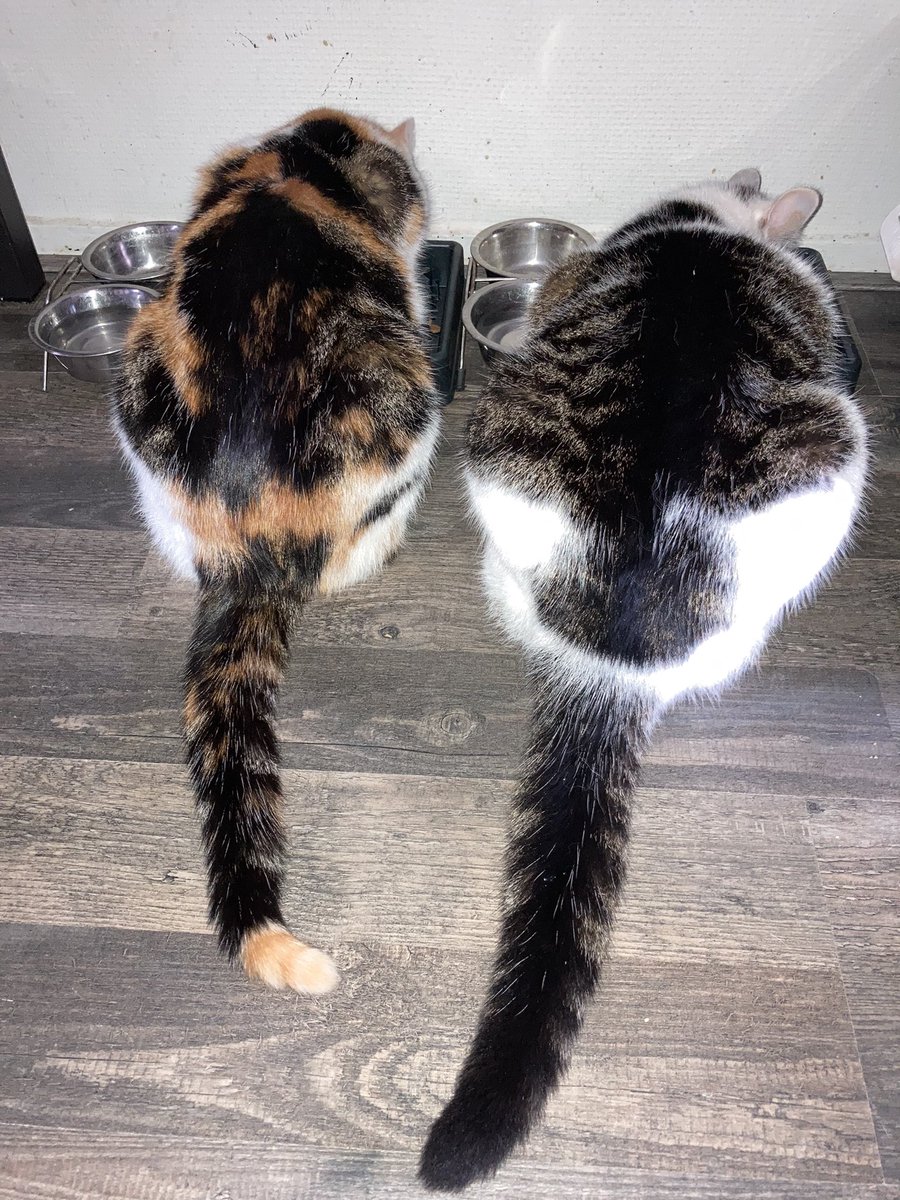 Pixel & Mono tweet media