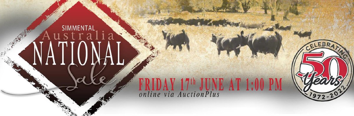 SimmAustralia's tweet photo. The #Simmental National Sale will be online Friday 17th June at 1pm on AuctionsPlus. Click through for the online pedigree catalogue.
https://t.co/MRh11A9CLw https://t.co/HIcNVuGMxZ