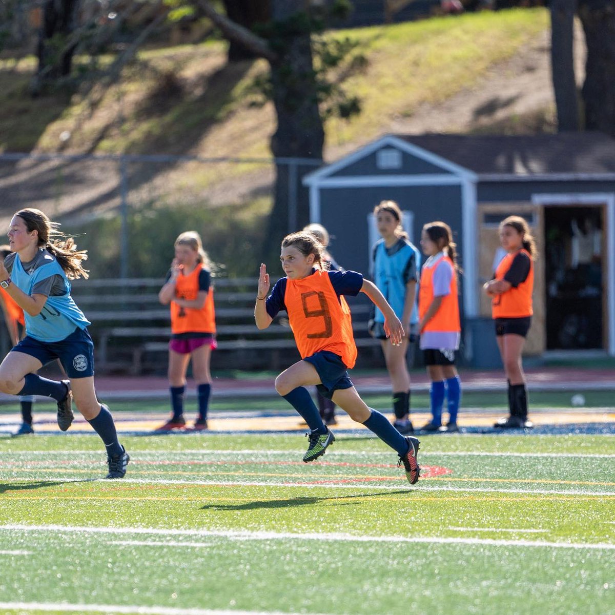 santacruzutdfc's tweet photo. π Another successful tryout day!
#santacruzbreakers #tryouts #soccer #youthsoccer #npl #norcalpremier #santacruzcounty #santacruz #aptos #aptostide #watsonville #goals #boyssoccer #girlssoccer #originalsantacruzbreakers https://t.co/UWX0ZqaJvx