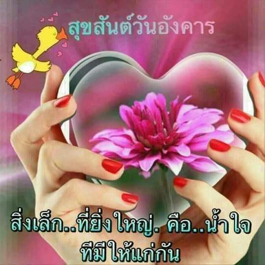 phantha94977895's tweet photo. #NewProfilePic https://t.co/8DP4BpAado