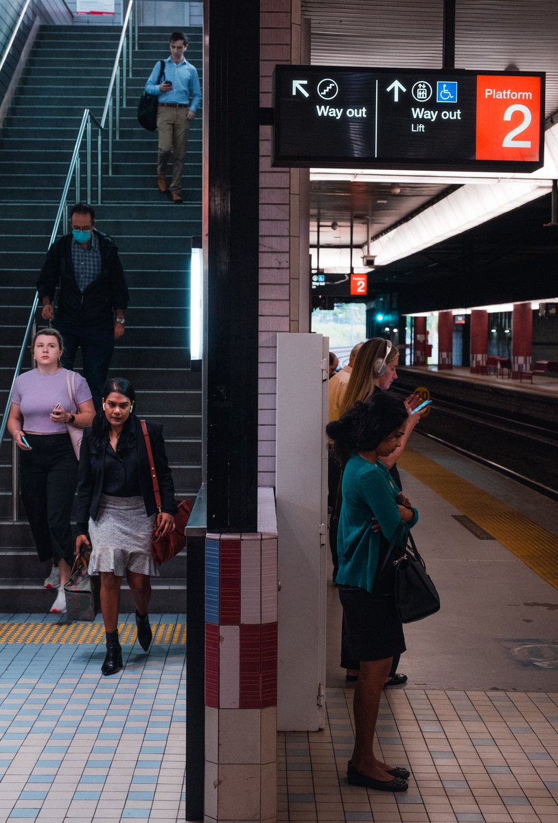 runamukvisuals's tweet photo. Where are the cats in this rat race. https://t.co/bsIw3A8u9V