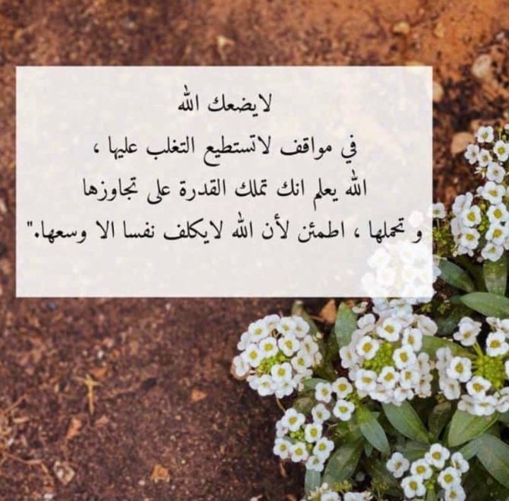 غيمة مطر 🌧️🌧️ tweet media