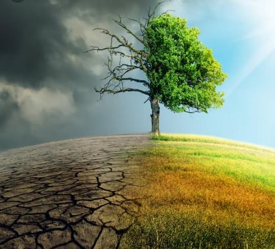 nettrke's tweet photo. #letsstrive to make our environment clean and healthy to sustain generations to come
@nettrke
@nettrke
@necc_kenya
@bellindaakello
@MarxToMusk
@UNCCD
@UNEP https://t.co/8LY7iDe4rD