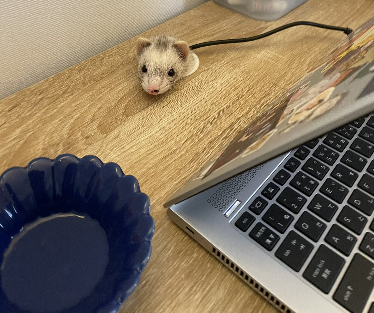 仕事中にこんなん出てきたら笑う