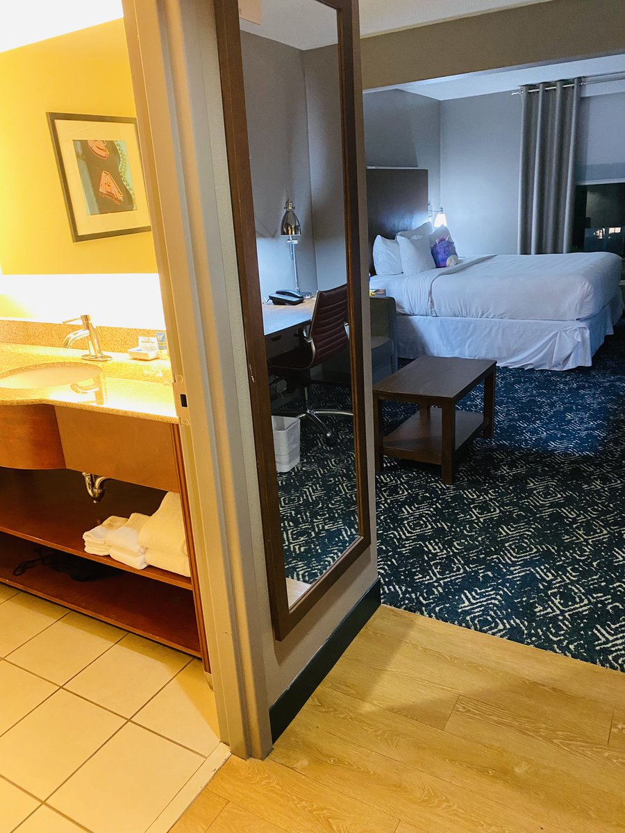 Elley_Ray's tweet photo. They put us up in a nice hotel 20 minutes from the airport! New flight for 4:00pm tomorrow! Sorry Puppers I know I promised I’d be home tonight no matter what but I’ll give you extra treats tomorrow #ShirleyGirlie #Litttle #Peanut #ChiChi 🐾❤️🐾 https://t.co/dt2W85CB3h