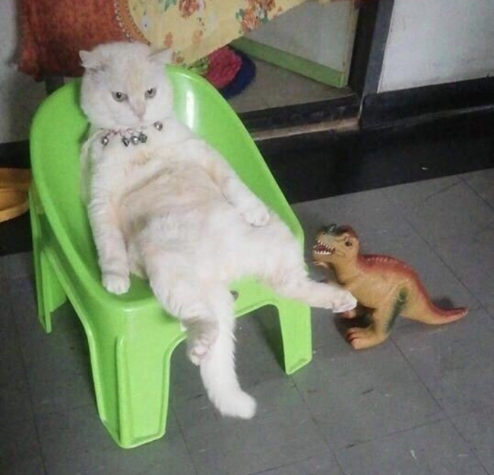 Libs on Social 🫂 (@libsonsocial) on Twitter photo 