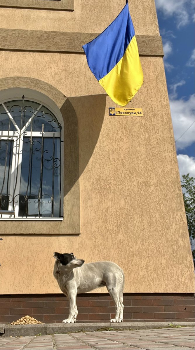 MarcusFillinger's tweet photo. “Slava Ukraini! Heroyam slava” 🇺🇦🇦🇺
Glory to Ukraine- Glory to the hero’s

For ALPHADOGSs continued mission in Ukraine - your tax deductible donations are greatly appreciated 

https://t.co/qHzdNoPZjj

https://t.co/eWwcyu7ndU

Or through our website 

https://t.co/MdUfk6wbKy https://t.co/dcvoWUvHKm