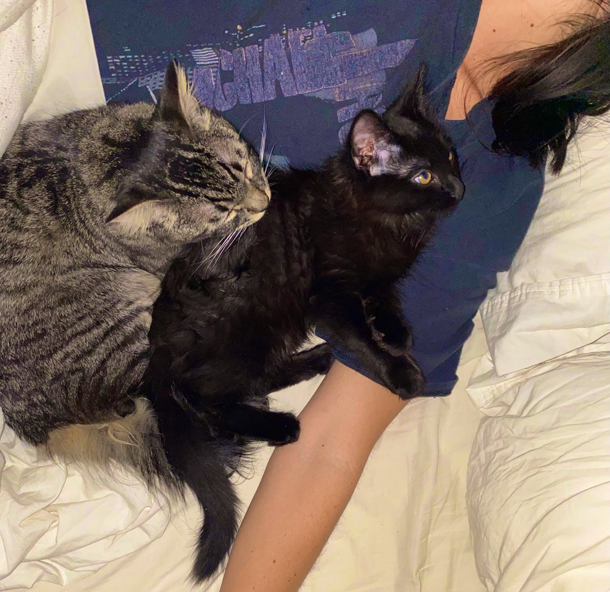 KIMPSSBLE's tweet photo. 🥹🥰 we just be cuddle puddle sleeping together 💕 https://t.co/SWxJnMVnbD