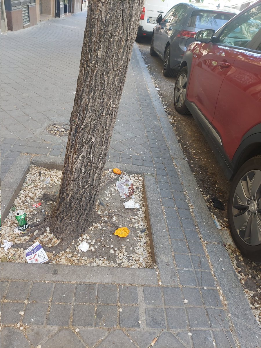 VictoriaAlgora's tweet photo. @Lineamadrid Algún día vendrán a limpiar la calle Altamirano???
Va tocando después de semanas sin barrer. https://t.co/6bN82S6bem