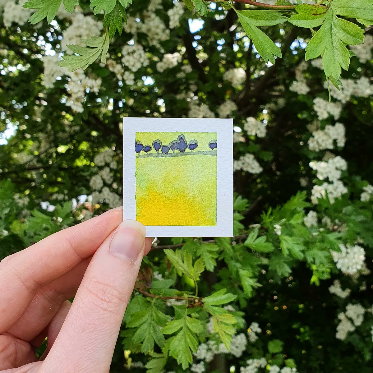 BravoBridget's tweet photo. Long Field Guard
2022 / Watercolour
Moment

https://t.co/8Q4CbaVCRp

#ArtistOnTwitter #painting #nature #moment #spring #Society6 https://t.co/bUHoLlrtFv