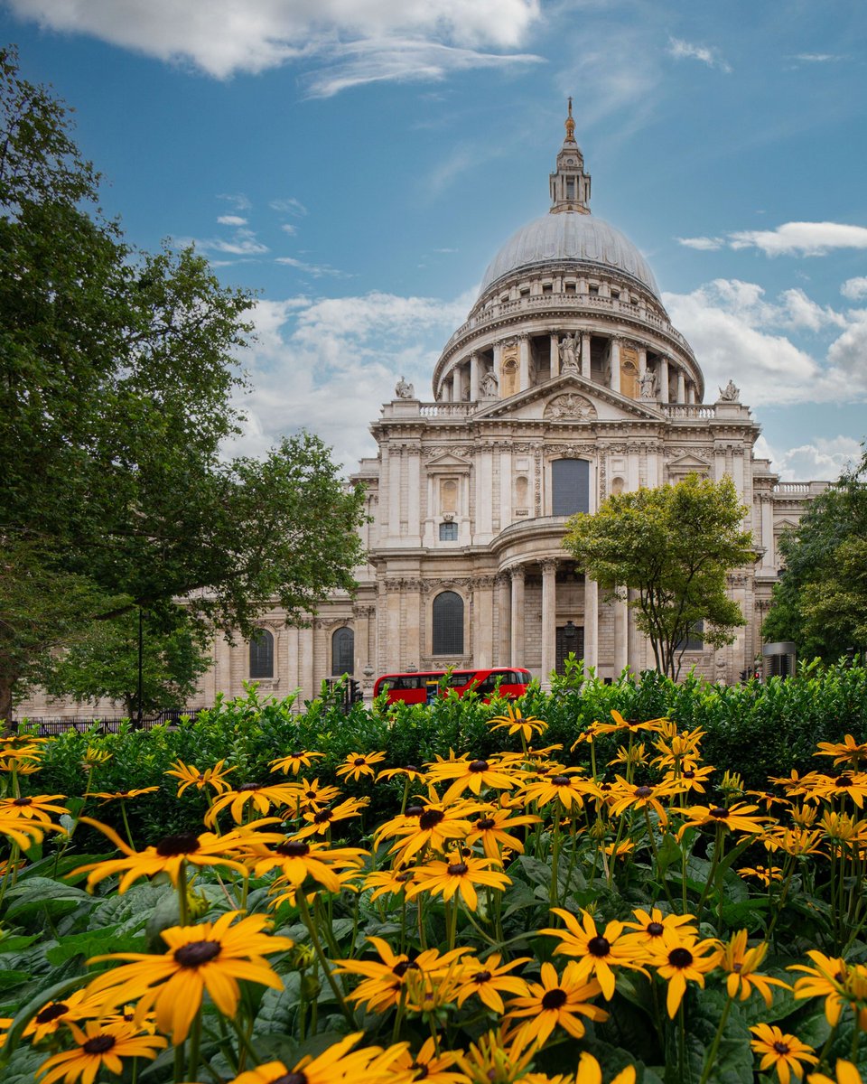 visitlondon's tweet photo. Good morning St Paul's Cathedral 👋 #LetsDoLondon #VisitLondon [📸 @nailia_20_25_07] https://t.co/kqwfO5n9F4 https://t.co/3YQuI4coHH