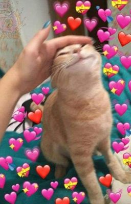 Busco amiguitas para jugar al LOL *u*  se valora sentido del humor y que pueda por las mañanas 🌻👀 🙏🙏 RT PLIZ #LeagueOfLegends  #euw #stream #chicas