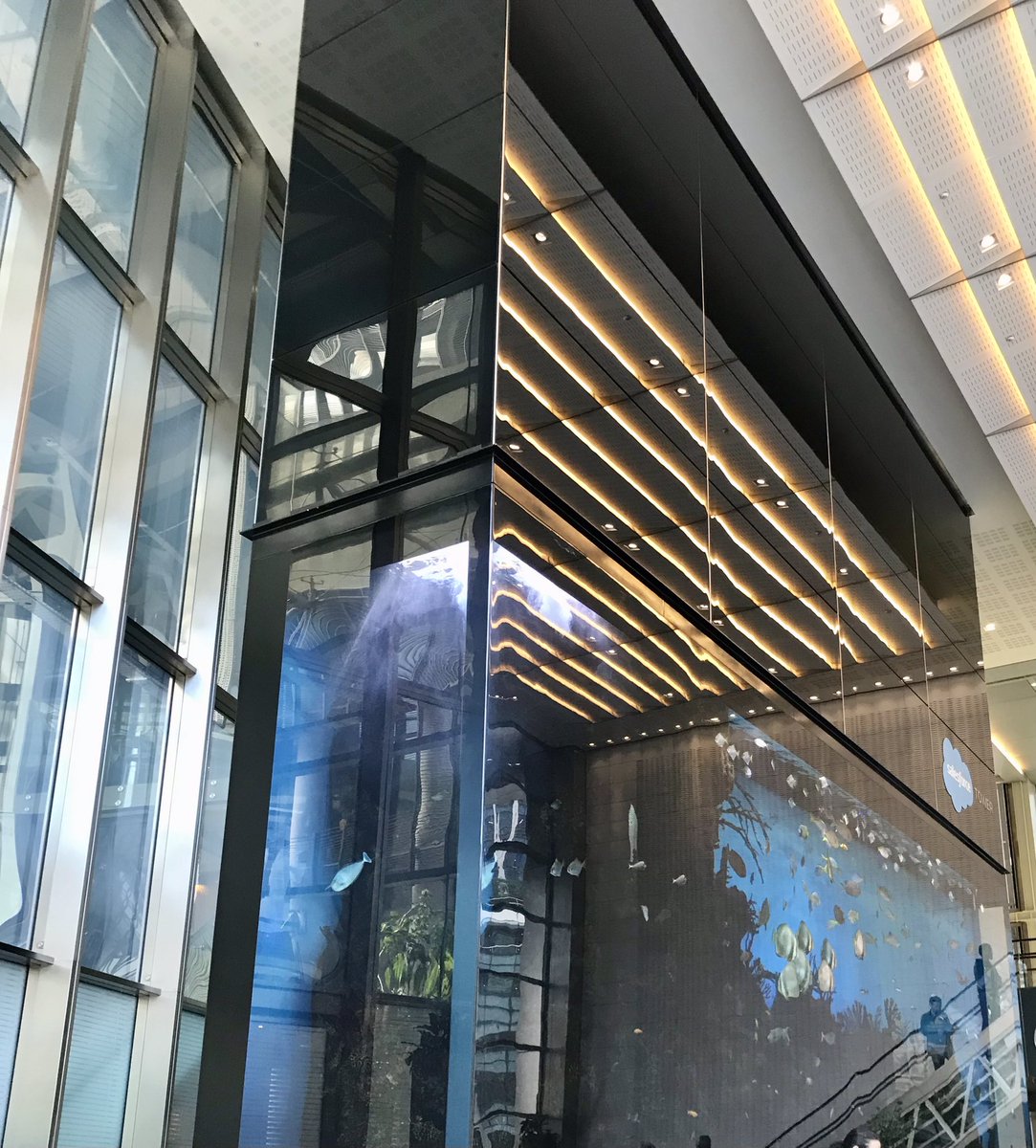 morrtracey's tweet photo. Great to be back @salesforce @SalesforceUK @SalesforceOrg #NonprofitSummit #London https://t.co/xH07Zkbavi