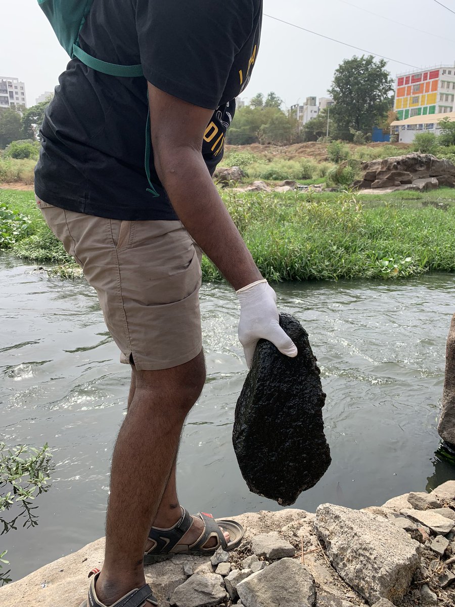 karthickbala's tweet photo. Finally, diatoms from severely polluted riverine sites at Mutha River #pune https://t.co/u1Akfb6EQz