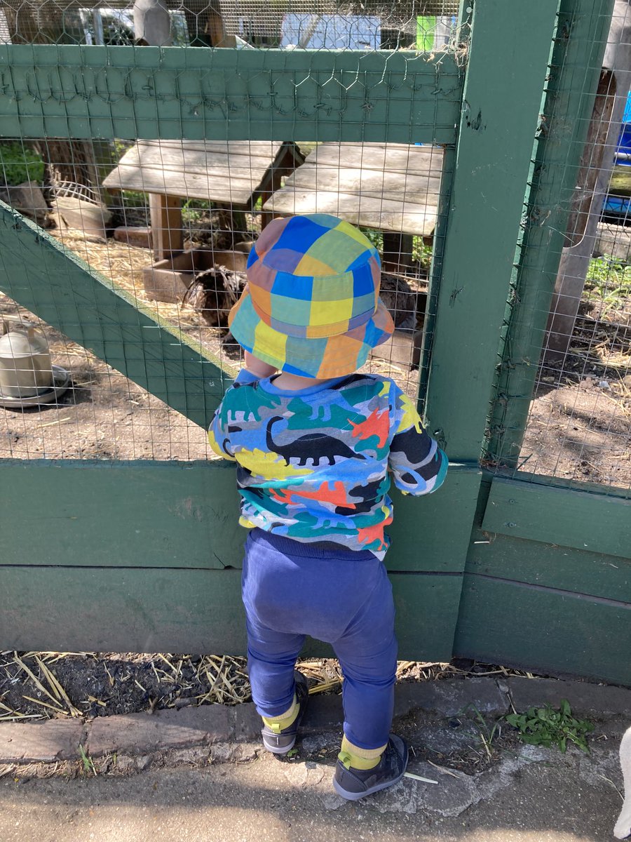 Katie Jacobs tweet media