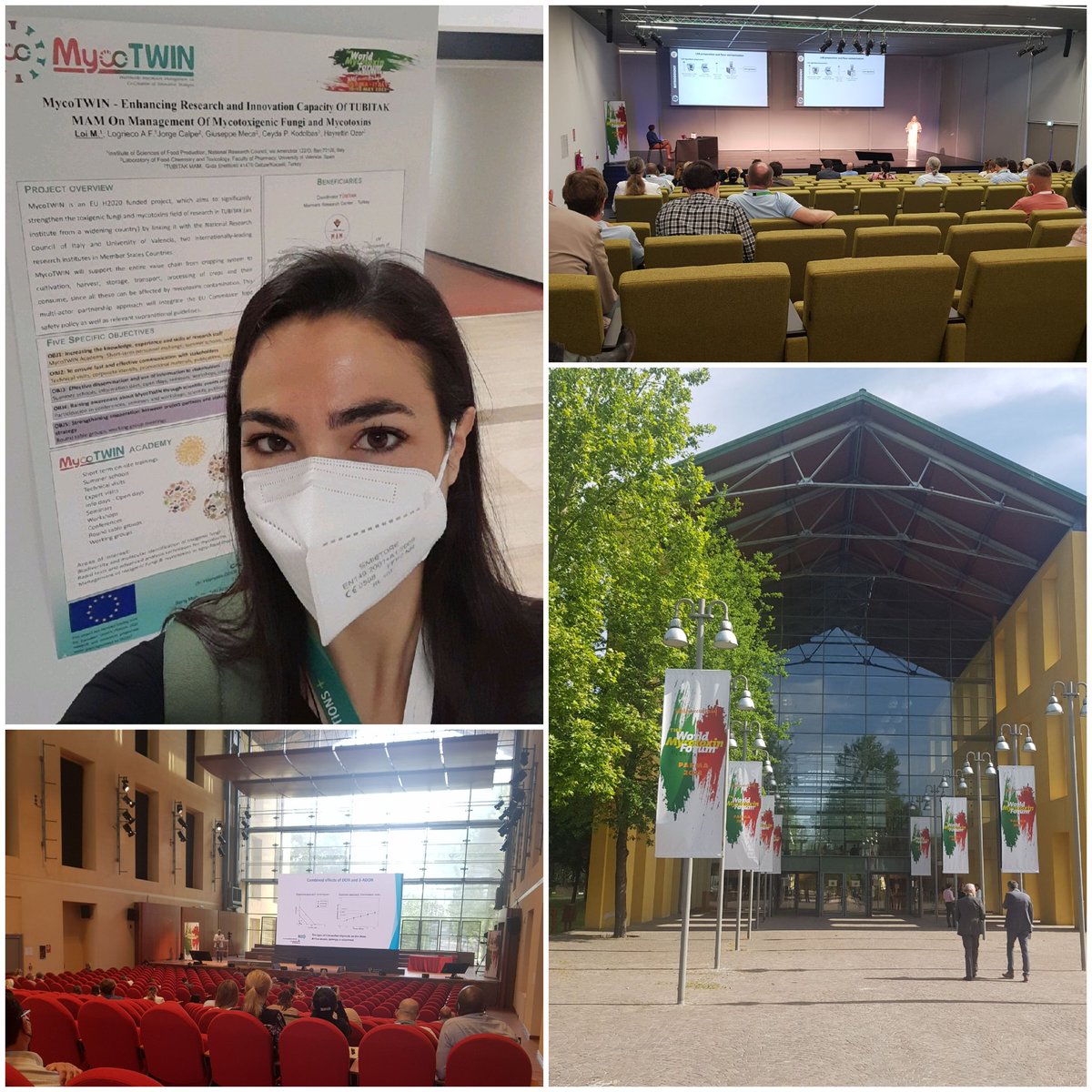 MycoTwin's tweet photo. We as MycoTWIN consortium are at @MycotoxinForum. Thanks to Martina Loi from CNR-ISPA for the MycoTWIN poster presentation.

 #mycotwin #MycoTWIN #mycotoxin #parma #WorldMycotoxinForum https://t.co/5laIyyNquS