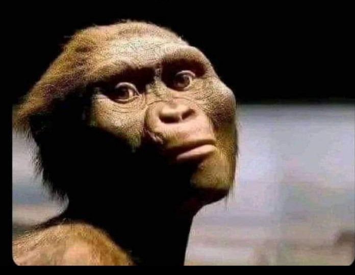 Mletsi3's tweet photo. @Ndaba_Luh Ngokudayisa nje i atchar usuzibona usile kunezinye izingane https://t.co/yFoWnG8o4Y