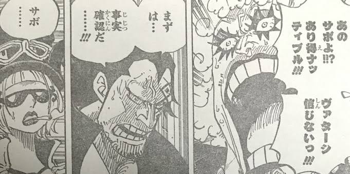 ワンピース 革命軍のメンバーを一覧で紹介 強さや悪魔の実の能力者も 6ページ目 Selvy