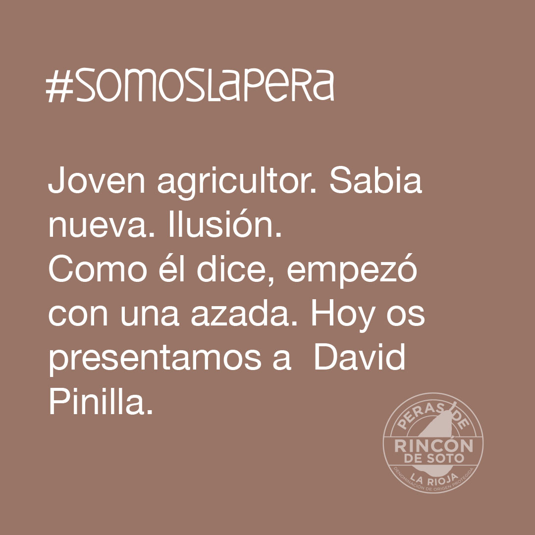 PerasDeRincon's tweet photo. Llegó al mundo agro hace muy pocos años, pero no podía dejar de pertenecer a la DOP Peras de Rincón de Soto, siendo del pueblo… 
Su apuesta por el entorno rural, por el campo y por el producto local también es nuestra apuesta.  
.
#somoslapera #soislapera #DOPPerasdeRincóndeSoto https://t.co/Rw67NMj86H