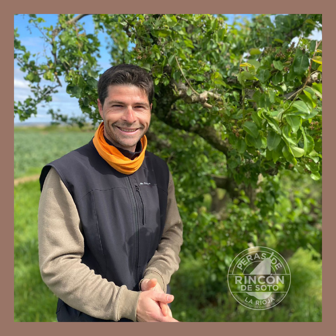 PerasDeRincon's tweet photo. Llegó al mundo agro hace muy pocos años, pero no podía dejar de pertenecer a la DOP Peras de Rincón de Soto, siendo del pueblo… 
Su apuesta por el entorno rural, por el campo y por el producto local también es nuestra apuesta.  
.
#somoslapera #soislapera #DOPPerasdeRincóndeSoto https://t.co/Rw67NMj86H
