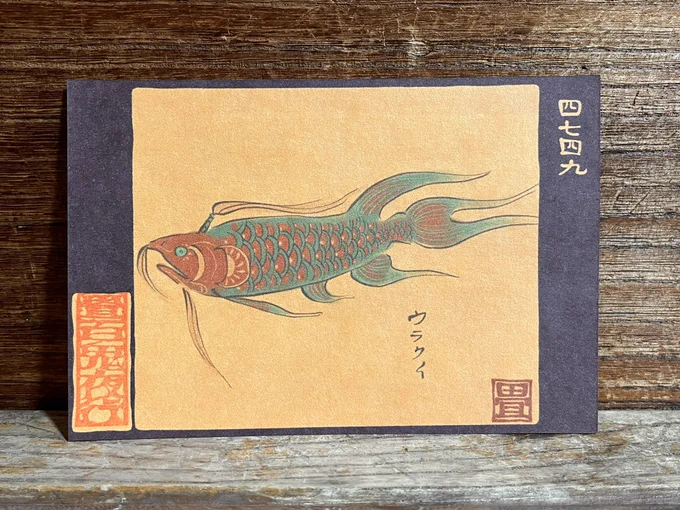 4749番目「ウラクイ」仙人のような魚。 