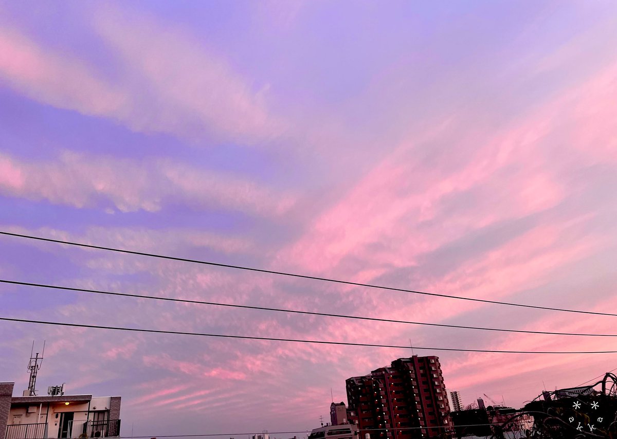 Many0606's tweet photo. #夕空
#夕焼け
#ピンク空
#そらふぉと
#写真好きな人と繋がりたい 
#写真を撮るのが好きな人と繋がりたい https://t.co/fH0yyRhtVU