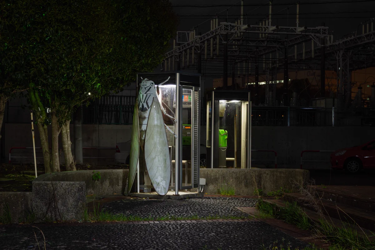 【閲覧注意】巨大セミを横目に電話！？電話ボックスに張り付いたリアルなセミ。