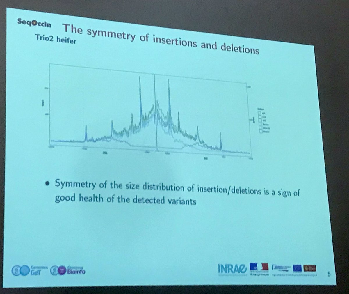 INRAE_Genomics's tweet photo. Detection of #SV in cattle with @illumina @PacBio (#hifi &amp; #clr) @nanopore @bionanogenomics in the frame of #seqoccin project at @INRAE_Genomics workshop by Thomas Faraut. https://t.co/4DV2nqcjAX