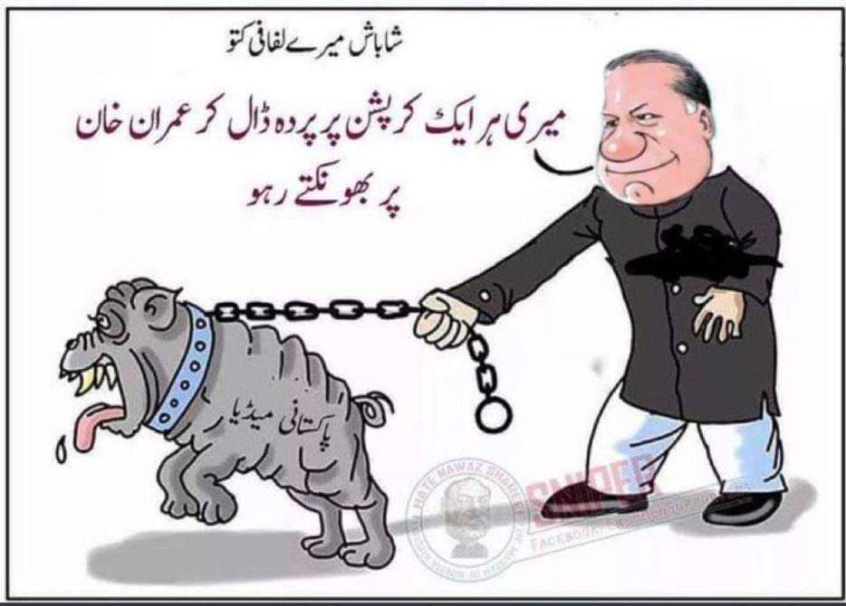 Noman__Ashraf's tweet photo. @MaryamNSharif # https://t.co/yiwaUxXe1S
