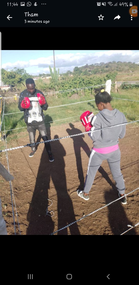 ZimbabweBoxing's tweet photo. Introducing Tilda Madzinga from Chesvingo(Sisk) - 5th Street to Boxing as she goes through her first assessment session with Tinashe Zihove (Professional-Boxer) at D1 academy
📍Masvingo
#creatingworldchampions
#zimbabweboxing
https://t.co/GQSxr1nqqW https://t.co/2oLQYrmFH7
