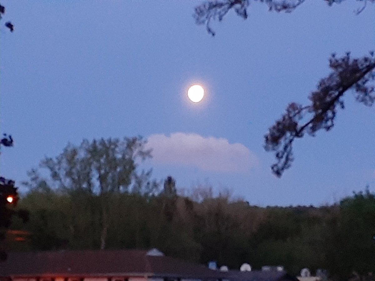 DEADSPACE1623's tweet photo. Morning moon 🌕 https://t.co/8WAEzUbDkn