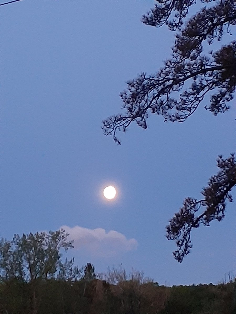 DEADSPACE1623's tweet photo. Morning moon 🌕 https://t.co/8WAEzUbDkn