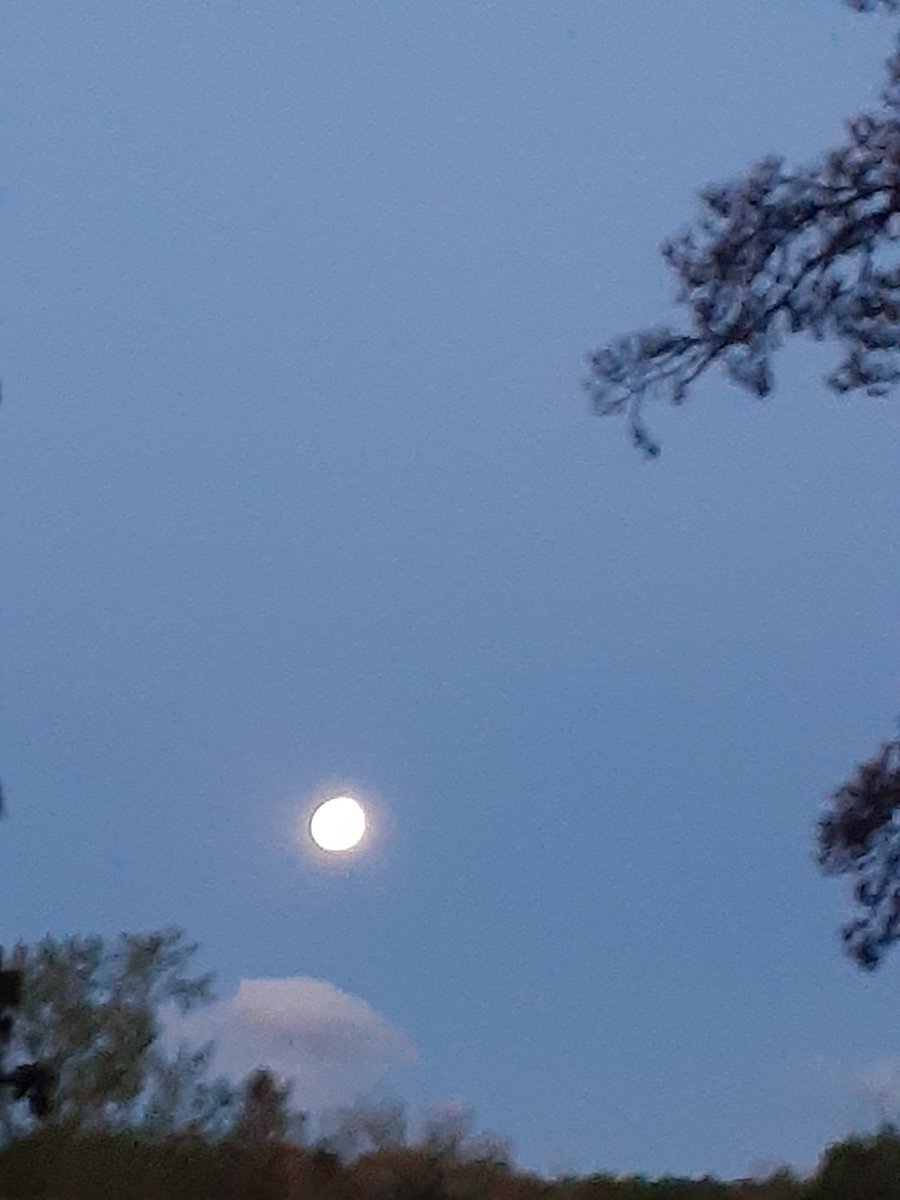 DEADSPACE1623's tweet photo. Morning moon 🌕 https://t.co/8WAEzUbDkn