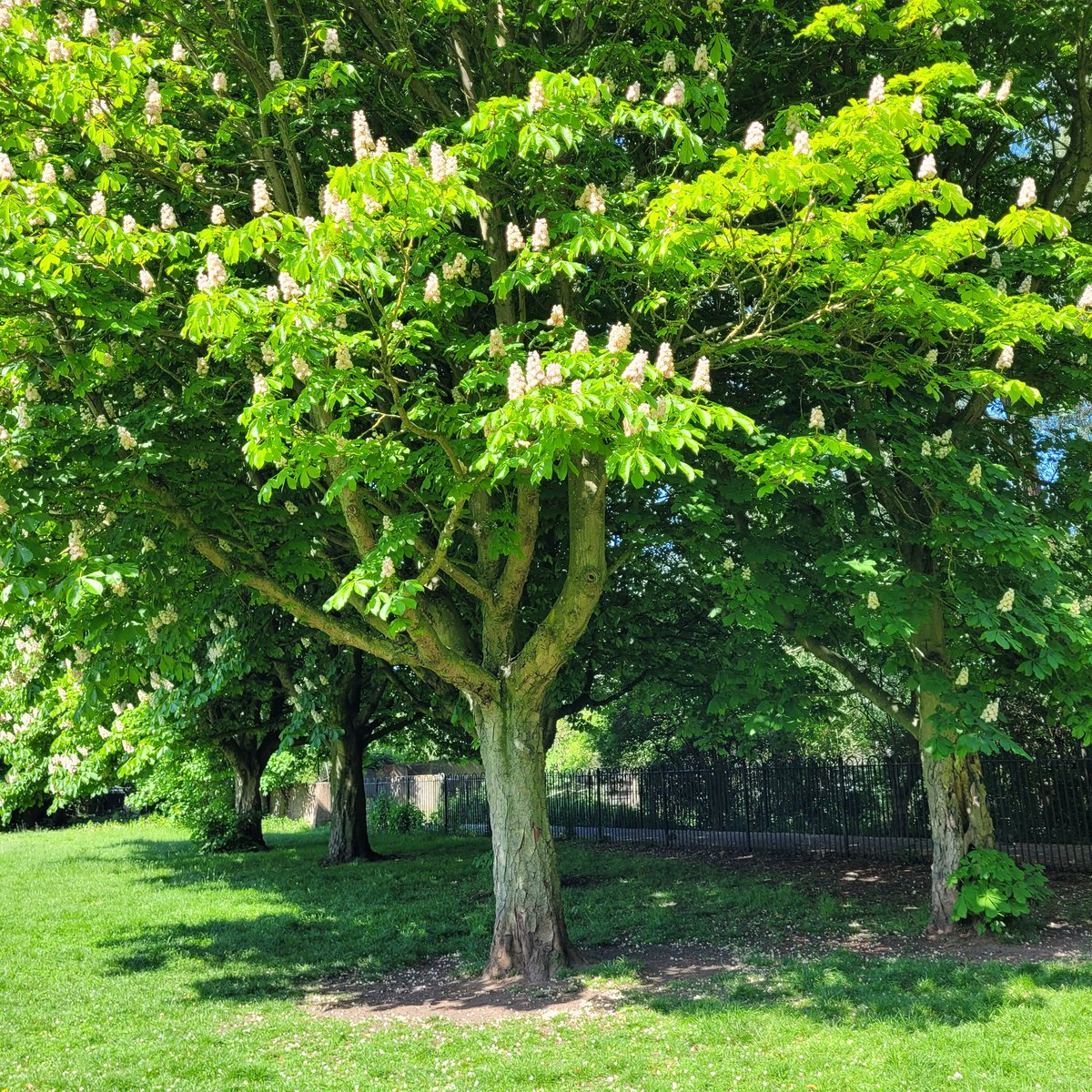 Even though its exam season it's important to take regular breaks! Try to get outside when you can today to destress and connect with nature🌻⚘️🌸 sending everyone calm and happy thoughts during this exam season! 💐
demontfortsu.com/events/14948/3…