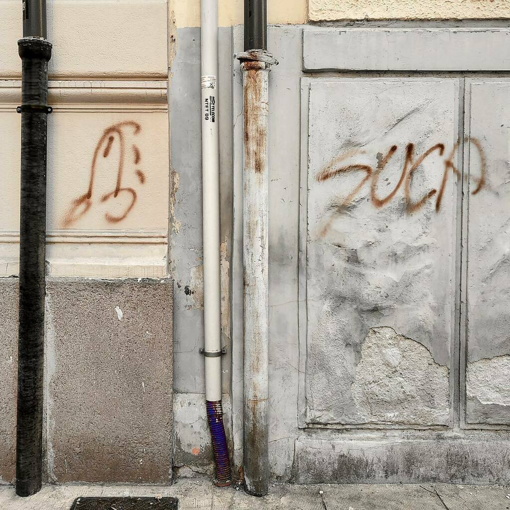 SUCA's tweet photo. SUCA (via Pignatelli Aragona, Palermo) 

#suca #sucaforte #800A #cazzetto #streetart https://t.co/Dg3tOKg6BH https://t.co/ll5BRZ0irI
